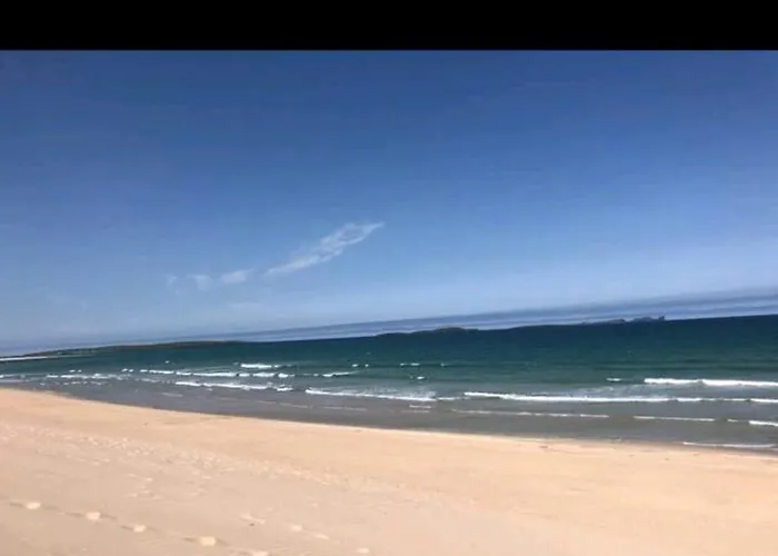 Teach Padraig * 팔카라